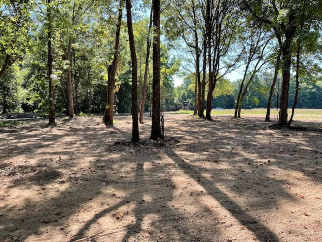 Charming Tiny Home! Close To Oxford, Sardis Lake, Safari Animal Zoo المظهر الخارجي الصورة